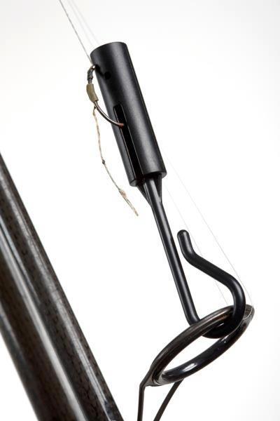 For Carp - 4176101760395525443582008514891n.jpg